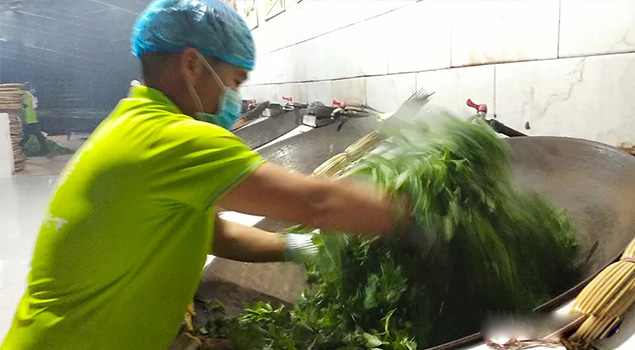 電氣化製茶成主流，蒸汽發生器讓製茶無煙化，實現零排放的環保目標